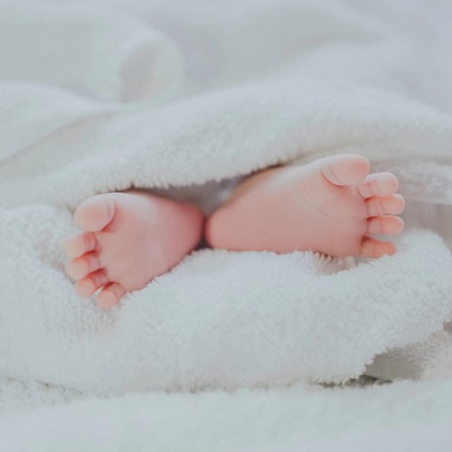 fe-ngo-bvx3G7RkOts-unsplash